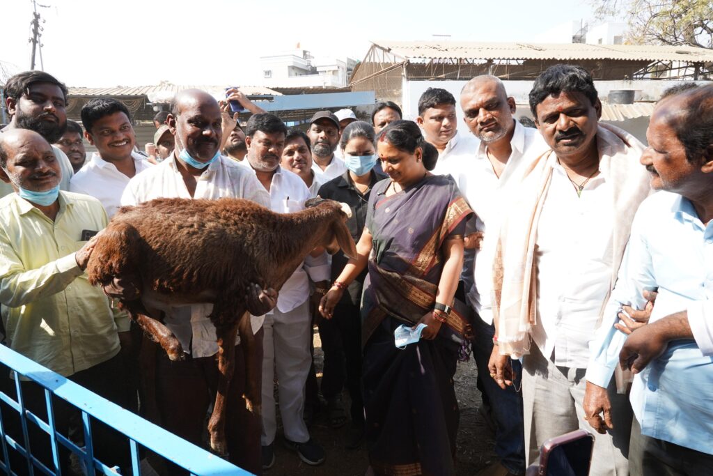 Damaged road conditions near Karvan constituency slaughter house